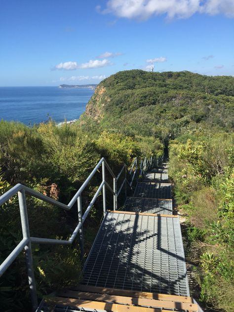 Crackneck Walk / Bateau Bay NSW Central Coast Australia Central Coast Australia, Australia History, Ultimate Bucket List, Twenty Twenty, I Want To Travel, Local Travel, Central Coast, Natural Landscape, Local Area