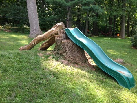 tree stump slide on slope in backyard Tree Trunk Playground, Fallen Tree Playground, Tree Stump Playground, Nature Playscape, Tree Stump Ideas, Natural Outdoor Playground, Stump Ideas, Kid Friendly Backyard, Diy Kids Playground