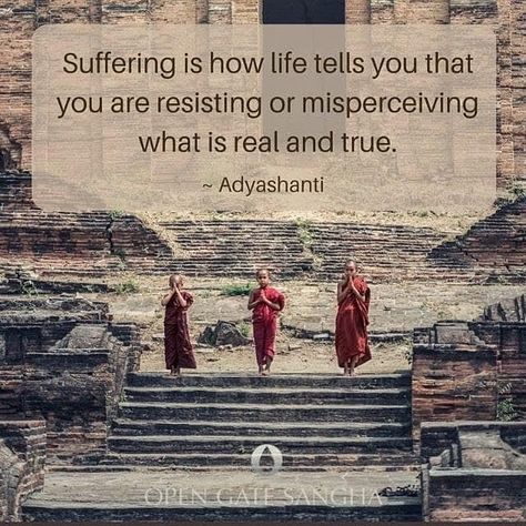 Adyashanti Quotes, Psychologist Quotes, Madame Secretary, Theory Of Life, Spirit Quotes, Money Manifestation, Buddhist Quotes, The Awakening, Divine Guidance