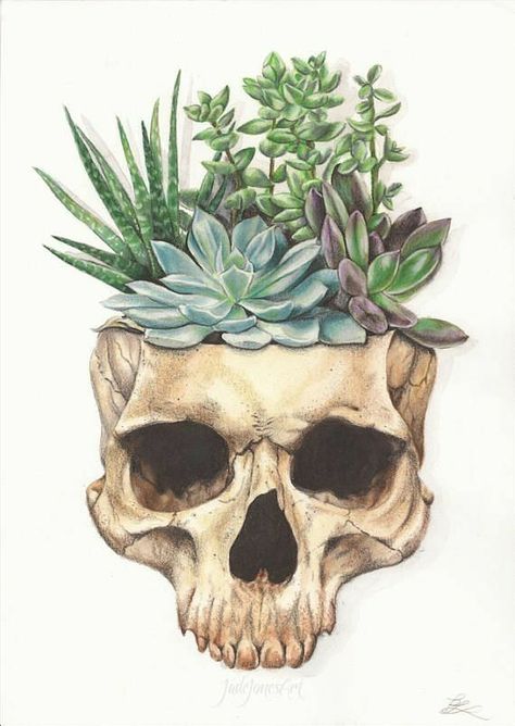 Jade Jones, Life Artwork, A Skull, A Drawing, Succulent, Jade, Mixed Media, Media, Plants