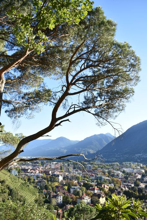 Merano Italy, Alps Travel, South Tyrol, Europe Trip, Europe Travel, Mood Board, Italy, Natural Landmarks, Travel