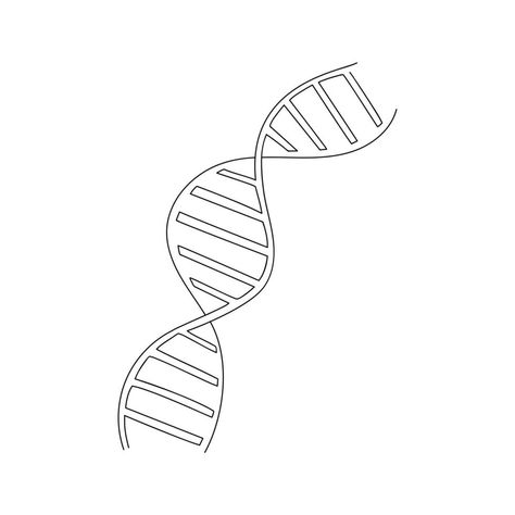 Dna Molecule Drawing, Simple Dna Tattoo, Genetics Drawing, Dna Sketch, Spiral Sketch, Contour Line Art, Dna Drawing, Dna Art, Dna Tattoo