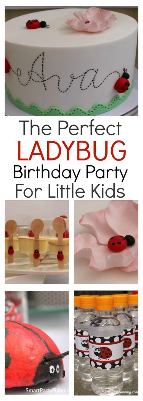 Create an easy but adorable ladybug party with jus… Ladybug Birthday Party Food, Ladybug First Birthday Party, Ladybug Centerpieces, Ladybug Party Decorations, Ladybug Cookies, Ladybug Cakes, Ladybug Birthday Party, Ladybug Theme, Bubble Guppies Birthday