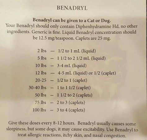 Benadryl For Dogs, Dog Benadryl, Benadryl For Cats, Meds For Dogs, Pet Remedies, Pet Meds, Dog Medicine, Dog Behaviorist, Dog Remedies