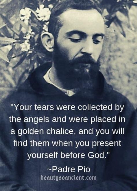 St.Padre Pio Quotes | The Catholic Me Padre Pio Quotes, Padre Pio Prayer, Catholic Gentleman, Spirit Food, Spiritual Advice, Saints Quotes, St Padre Pio, Loving Quotes, Catholic Pictures