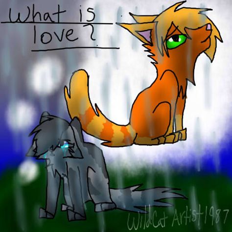 Cinderpelt X Firestar, Sparkle Dog, Warriors Cats, Warrior Cat, Hazel Eyes, Warrior Cats, Dog Art, Biscuits, Sparkle