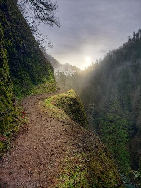 21 Jaw Dropping Trails to Hike in Oregon in 2021 | That Oregon Life Oregon Mountains Aesthetic, Oregon In December, Steens Mountains Oregon, Enjoyable Exercise, Estacada Oregon, Living In Oregon, Hikes In Oregon, Oregon Spring, Oregon Aesthetic