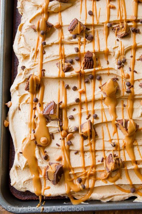 Texas Sheet Cakes, Peanut Butter Sheet Cake, Texas Sheet Cake Recipe, Pumpkin Sheet Cake, Texas Sheet, Texas Sheet Cake, Chocolate Sheet Cake, Sheet Cake Recipes, Peanut Butter Frosting