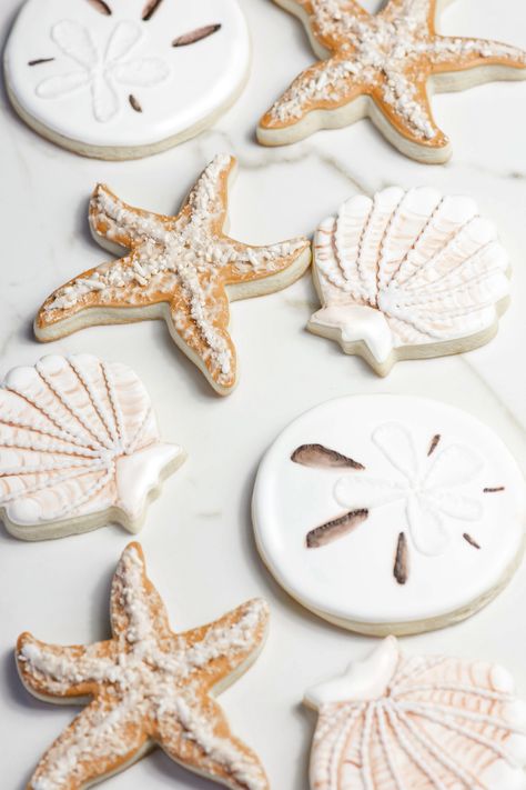 Sea Theme Cookies, Sea Shell Cookies Decorated, Sand Dollar Cookies Decorated, Beach Party Cookies, Starfish Cookies Decorated, Shell Cookies Decorated, Beach Cookies Decorated, Shell Birthday Party, Beach Wedding Cookies