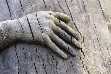 wooden hand - kurkcudbright, scotland Peeta Mellark Aesthetic, Carving Aesthetic, Hand Aesthetic, Show Of Hands, Catty Noir, The Adventure Zone, Peeta Mellark, Tree Roots, Hand Art