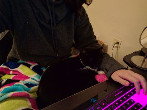 Juno likes to sleep in my lap while I play Overwatch http://ift.tt/2gmiYAs Juno, Overwatch, Laundry Clothes