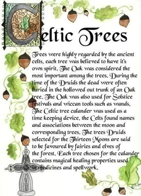 Celtic Spirituality, Pictures Of Trees, Celtic Witch, Norse Gods, Celtic Traditions, Josephine Wall, Ancient Celts, Celtic Heritage, Irish Quotes