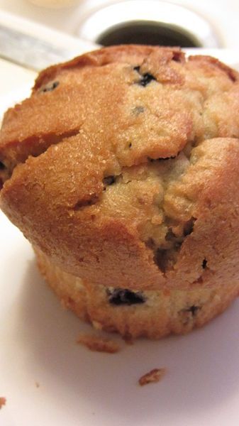 Congrats! Your Child Passed a Baked Milk Challenge! Now what?!? #foodallergies #foodallergy Blueberry Muffins Easy, Hobbit Food, Easy Blueberry Muffins, Muffins Easy, Allergen Free Recipes, Milk Allergy, Berry Muffins, Blue Berry, Allergy Free Recipes