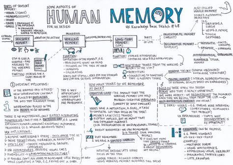 UX & Human Memory. UX Knowledge Base Sketch #48 | by Krisztina Szerovay | UX Knowledge Base Sketch Base Sketch, Design Sites, Memory Words, Human Memory, Behavioral Economics, Depth Of Knowledge, Visual Notes, Effective Teaching, Muscle Memory