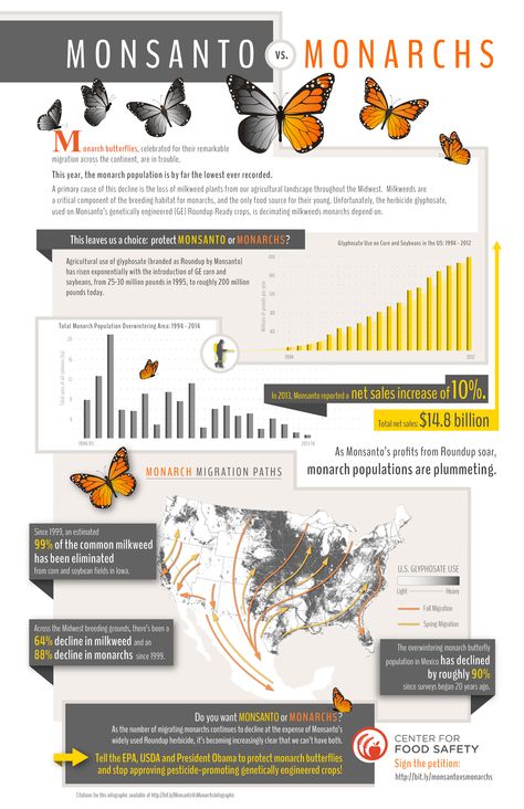 new infographic: monsanto vs monarchs - the irresistible fleet of bicycles Butterfly Infographic, Environmental Advocacy, Save Planet Earth, Butterfly Project, Wildlife Day, Animal Conservation, Monarch Butterflies, Nature Friendly, Work Organization