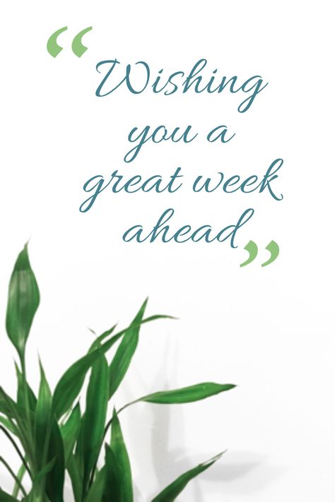 Happy New Week Quotes Beautiful, Good Morning Have A Great Week, Have A Good Week Ahead, Have A Great Week Ahead, Great Week Ahead Quotes, New Week Wishes, New Week Quotes, Grandkids Quotes, Week Blessings