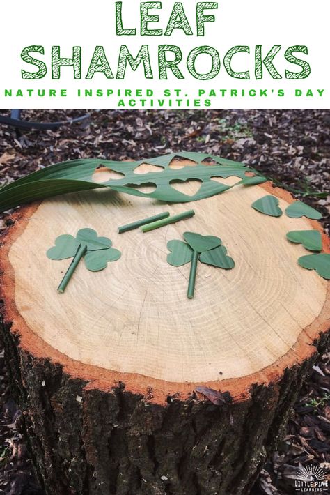 If you are looking for creative St. Patrick's Day activities, look no further. Here are four nature inspired St. Patrick's Day activities to try! Waldorf St Patricks Day, Leaf Activities, Kids Nature Activities, Celtic Crafts, Shamrock Plant, Nature Crown, Forest School Activities, Nature Craft, Simple Activities