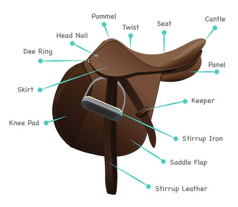 Horse English, English Horse Tack, Bronc Riding, English Tack, Jumping Saddle, Horse Games, Side Saddle, Free Horses, English Horse