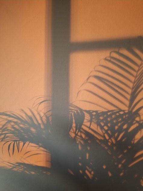 Golden Hour Background, Window Shadow Photography, Golden Hour Shadow, Plant Shadow Aesthetic, Light Spring Color Palette, Light And Shadow Photography, Indian Eyes, Window Shadow, Light Spring Colors