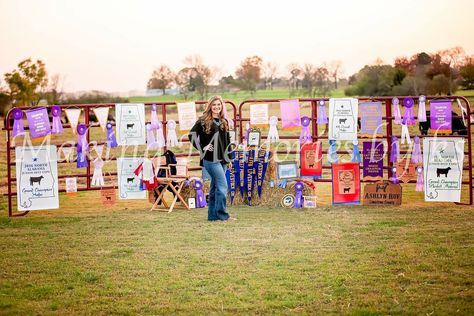 Livestock Banner Senior Pictures, Livestock Senior Pictures Trailer, 4-h Senior Pictures, Show Cattle Senior Pictures, Livestock Senior Pictures, Ffa Senior Pictures, Ffa Pictures, Cow Showing, Cowgirl Senior Pictures