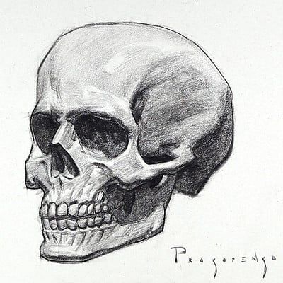 ArtStation - Random Figure Sketch Human Skull Drawing, Skull Drawing Sketches, Draw A Skull, Skull Sketch, Skeleton Drawings, Skulls Drawing, Skeleton Art, Figure Sketching, Skull Drawing