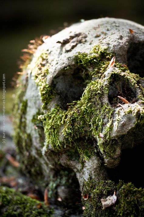 Circle Of Spores Druid Aesthetic, Mossy Skull, Orc Aesthetic, Druid Aesthetic, Goblin Aesthetic, Dnd Aesthetic, Creepy Nature, Bog Body, Dnd Druid