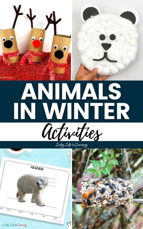 Winter Animal Activities, Animals In Winter Activities, Animal Activities For Preschoolers, Winter Animals Preschool Activities, Hibernation Preschool Theme, Arctic Animals Preschool Activities, Hibernation Preschool Activities, Polar Animals Preschool, Winter Animals Preschool