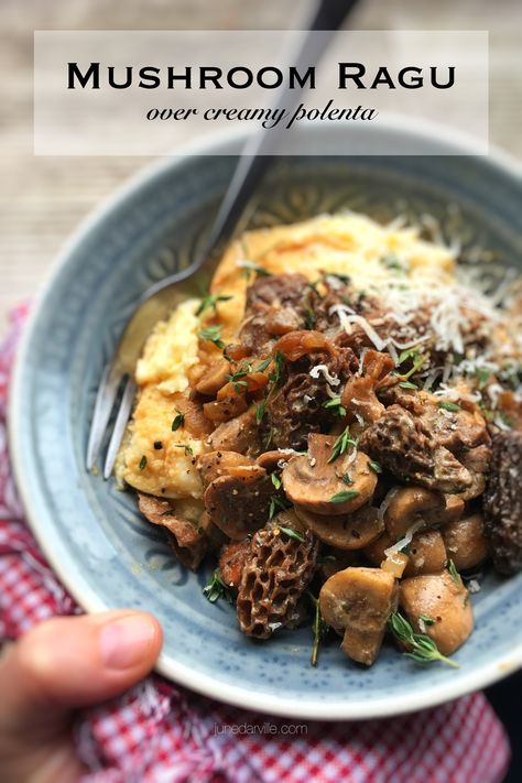 Can't wait to try this. Mushroom Ragout Recipe, Homemade Polenta, Veggie Spaghetti Sauce, Veggie Spaghetti, Mushroom Polenta, Mushroom Ragu, Ragu Sauce, Baked Mushrooms, Ragu Recipe