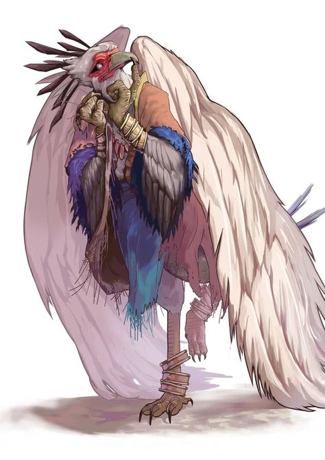 Dnd Aarakocra, Aarakocra Monk, Fantasy Beings, Bird People, Dnd Races, Rpg Ideas, Oc Inspiration, One D, Fantasy Races