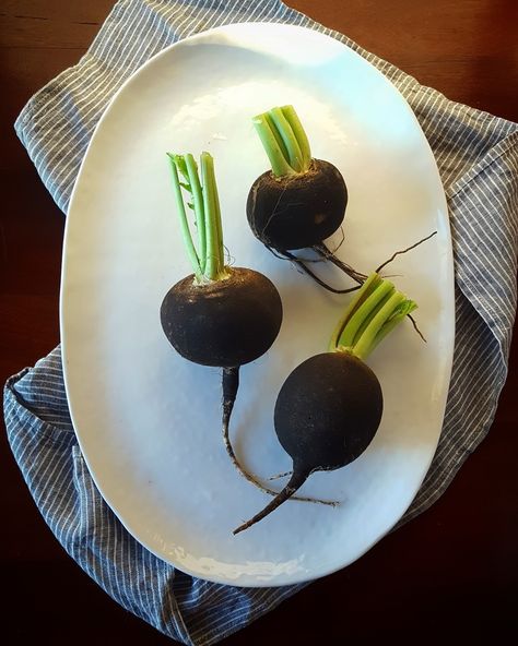 Meatless Monday: What To Do With Black Radishes? Black Radish & Chioggia Beet Crudo Black Radish Recipe, Radish Recipe, Black Radish, Chioggia Beets, Radish Recipes, Gothic Garden, Garden Vegetable, Radishes, Meatless Monday