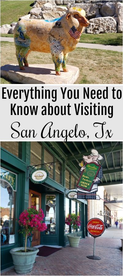 Family Trip Ideas, Texas Plants, San Angelo Texas, Texas Trip, Western Books, Fast Casual Restaurant, Travel Texas, San Angelo, Cheap Things To Do