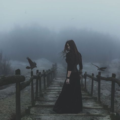 Sorceress Aesthetic, Goth Dark Academia, Splash Images, Witchy Aesthetic, Gothic Fantasy Art, Crazy Wallpaper, Familia Real, Halloween Photoshoot, Wonderful Life