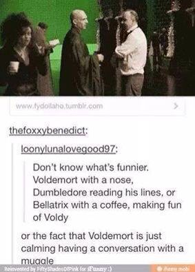 There's so many great things In this picture! Funny Harry Potter Jokes, Harry Potter Feels, Harry Potter Puns, Harry Potter Comics, Harry Potter Headcannons, Harry Pottah, Harry Potter Jokes, Harry Potter Cast, Harry Potter Marauders