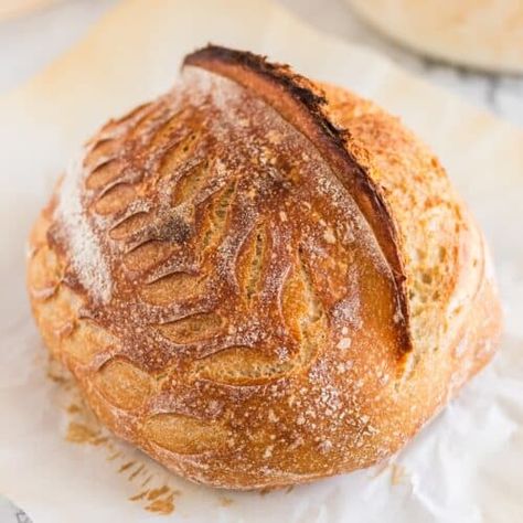 Gluten-Free Sourdough Bread - Living Chirpy Gluten Free Sourdough Bread Recipe Easy, Best Gluten Free Sourdough Bread Recipe, Oat Flour Sourdough Bread, Gluten Free Sourdough Boule, Gluten Free Soughdough Bread, Gluten Free Sourdough Bagels, Gluten Free Sourdough Dinner Rolls, Gf Sourdough Bread Recipe, Gluten Free Artisan Bread Recipe