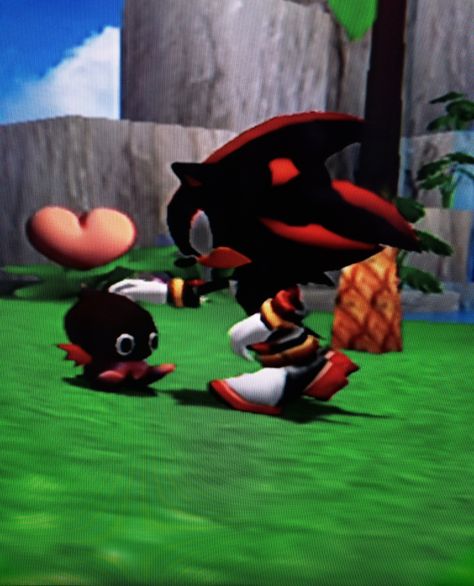 im a wee little bit obsessed with the chao garden Chao Sonic Pfp, Sonic Adventure 2 Shadow, Shadow The Hedgehog Aesthetic, Shadow Chao, Ps2 Aesthetic, Chao Sonic, Sonic Chao, Shadow Pfp, Chao Garden