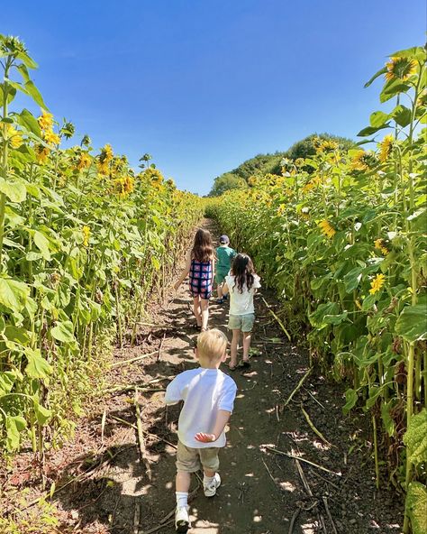 This is your sign to go sunflower picking with your bestie and all the kids to make memories. 🌻 Then cry when you look how much they have grown up since last years sunflower picking 🥲🥲🥲 Sunflower Picking, Make Memories, August 19, Grown Up, The Kids, Liverpool, Growing Up, Sunflower, The Creator