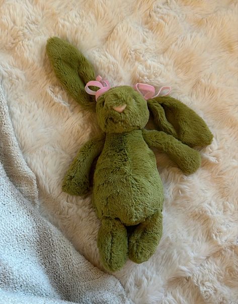 Green Jellycat Bunny, Bunny Jellycat, Jellycat Bunny, Jellycat Stuffed Animals, Cute Stuffed Animals, Cute Plush, Christmas List, Stuffed Animals, Pink And Green