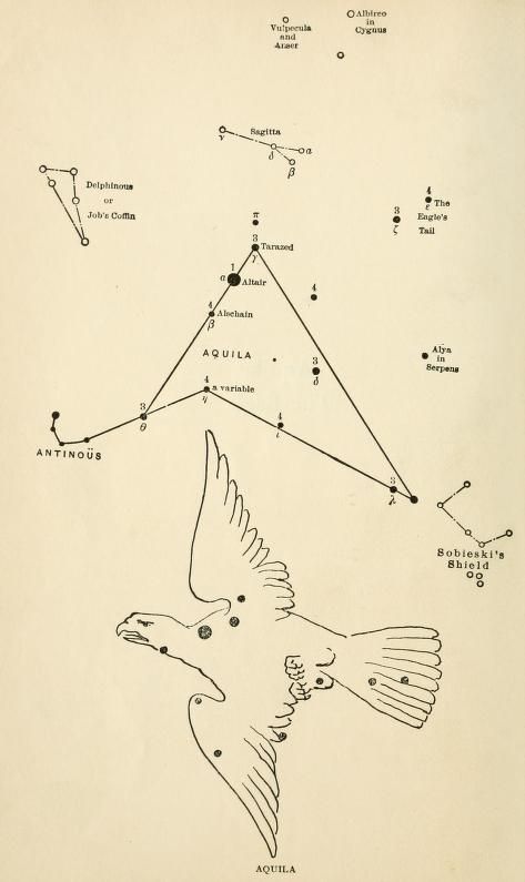 Aquila, from "Star lore of all ages; a collection of myths, legends, and facts concerning the constellations of the Northern Hemisphere," 1911.  https://archive.org/details/starloreofallage00olco Owl Constellation, Stars And Constellations, The Constellations, John Cage, Star Constellations, Astronomy, Constellations, Stars, Quick Saves