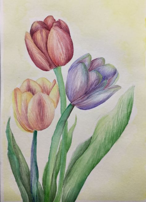 Realistic Tulip Drawing, Pencil Flowers, Tulip Drawing, Prismacolor Art, Tulip Painting, Watercolor Tulips, Flower Art Drawing, Chalk Drawings, Pola Sulam