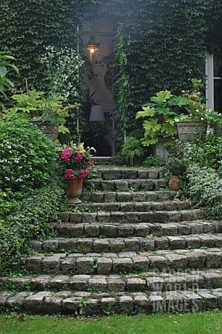 STAIRS_FLOWERS_RAMPE_COUGREENE_OF_IVY_POT_CONTAINER__HORTENSIA_HYDRANGEA__GARDEN_OF_LA_SOULOIRE_33 Antique Diy, Stone Garden Paths, Garden Stairs, Stone Stairs, Back Garden Design, Sloped Garden, Garden Arbor, Garden Steps, Outdoor Stairs