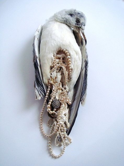 Taxidermy Art, Vulture Culture, Damien Hirst, Artist Statement, Sculpture Installation, Weird And Wonderful, Taxidermy, Beautiful Birds, Art Inspo