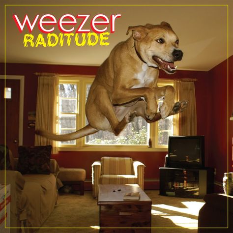 Weezer, A Dog, Music