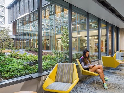 The library's courtyard offers a forest-like feel, calming stressed-out students and mirroring Oregon's natural environment. Library Building, Building A Kitchen, Library Architecture, Boston Public Library, University Of Oregon, Rain Garden, Study Rooms, Library Design, Showcase Design