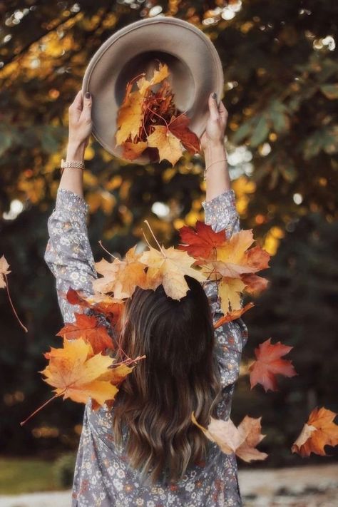 Autumn Photography Portrait, Fall Photoshoot Ideas, Fall Ombre, Fall Shoot, Leaf Photography, Fall Chic, Hand Photo, Autumn Magic, Night Forest