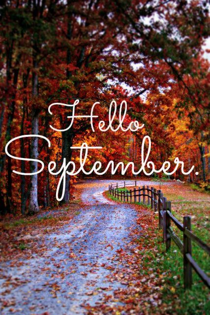 Well, happy September 1 to YOU!  Today is my very favorite day of the year... Happy September, Hello September, Days And Months, 1 September, Seasons Of The Year, Happy Fall Y'all, September 1, Autumn Beauty, Fall Favorites