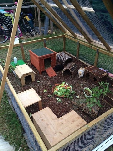 Tartaruga Habitat, Rabbit Playground, Rabbit Hutch Plans, Diy Rabbit Hutch, Diy Guinea Pig Cage, Outdoor Rabbit Hutch, Rabbit Enclosure, Guinea Pig Hutch, Rabbit Habitat