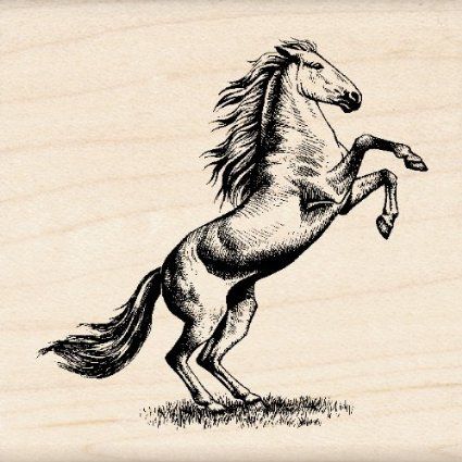 Amazon.com: Inkadinkado Horse Wood Stamp: Arts, Crafts & Sewing Black Horse Tattoo, Stallion Tattoo, Horse Tattoo Design, Cowboy Tattoos, Horse Rearing, Unicorn Tattoos, Western Tattoos, Tattoo Inspiration Men, Phone Background Patterns