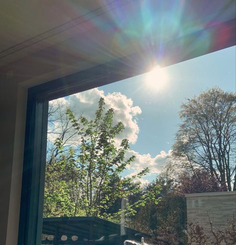 Sun Through Window, Sunshine Window, Aesthetic Sunshine, Sun Window, Light Clouds, Light And Shadow Photography, Plants Interior, Sun Flare, Shadow Photography