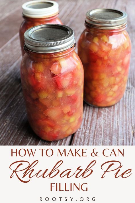 Canned Rhubarb Pie Filling, Rhubarb Canning Recipes, Canning Rhubarb, Rhubarb Pie Filling, Strawberry Rhubarb Pie Filling, Rhubarb Desserts Recipes, Rhubarb Oatmeal, Rhubarb Juice, Canning Fruit