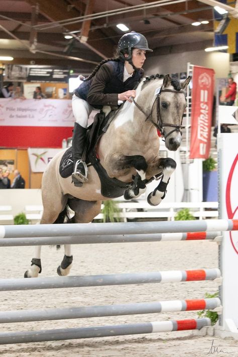 Pony Jumping, Autumn Horse, Hunter Jumper Horses, Horse Coats, Riding Clothes, Horse Riding Clothes, Horse Aesthetic, Pony Club, Hunter Jumper